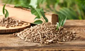Jak zrobić pellet krok po kroku – prosty proces produkcji w domu i nie tylko