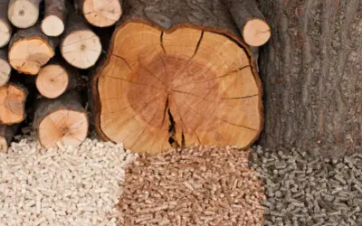 Z czego robi się pellet? Surowce, produkcja i ekologiczne korzyści opału