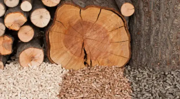 Z czego robi się pellet? Surowce, produkcja i ekologiczne korzyści opału