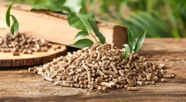 Jak zrobić pellet krok po kroku – prosty proces produkcji w domu i nie tylko
