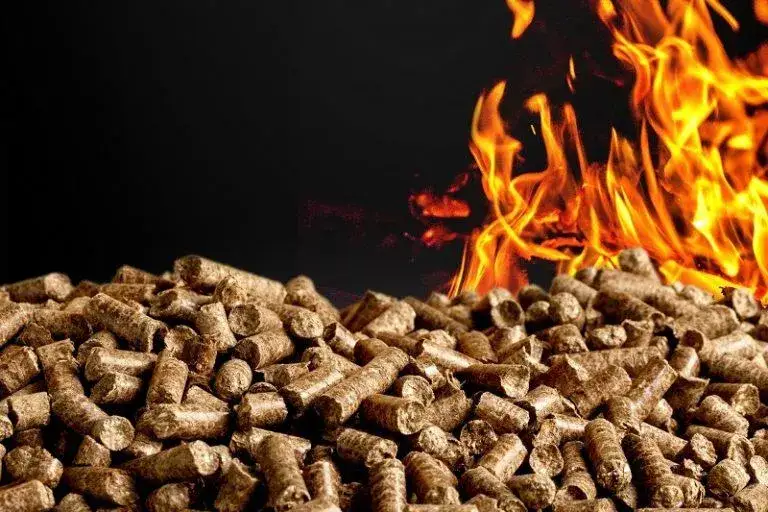 Zdjęcie Z czego robi się pellet? Surowce, produkcja i ekologiczne korzyści opału